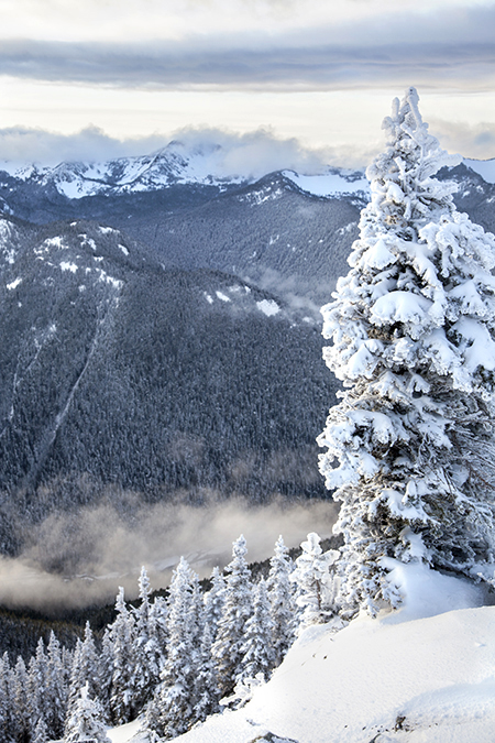 Christine Cox; Crystla Mountain; Skiing; Seattle Photographer; Christmas Day 2014
