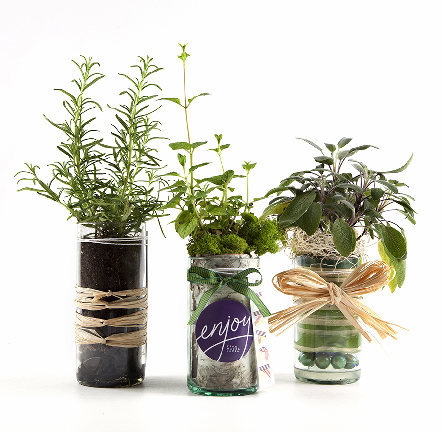 Christine Cox; Seattle Photographer; Product photography; Jarbiz; glass jars; gift sets; plants